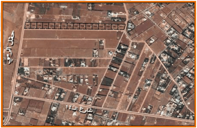 مشروع الزيتون